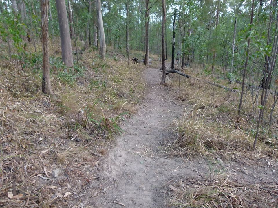 A nice riding line coming along